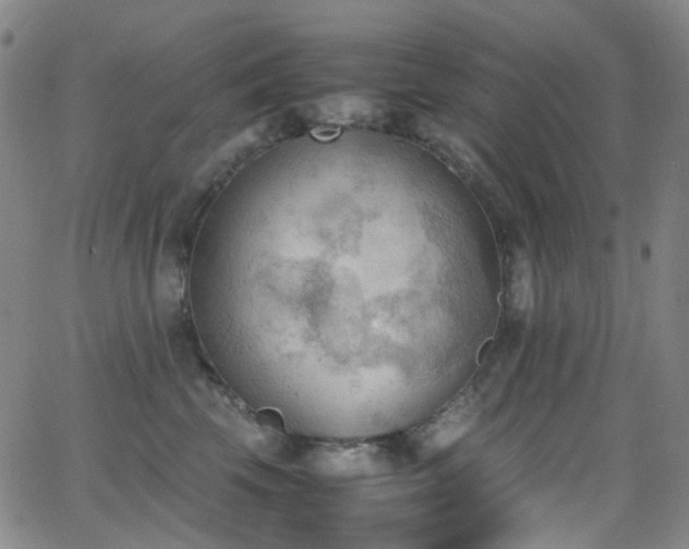 X0000062870569200601131444