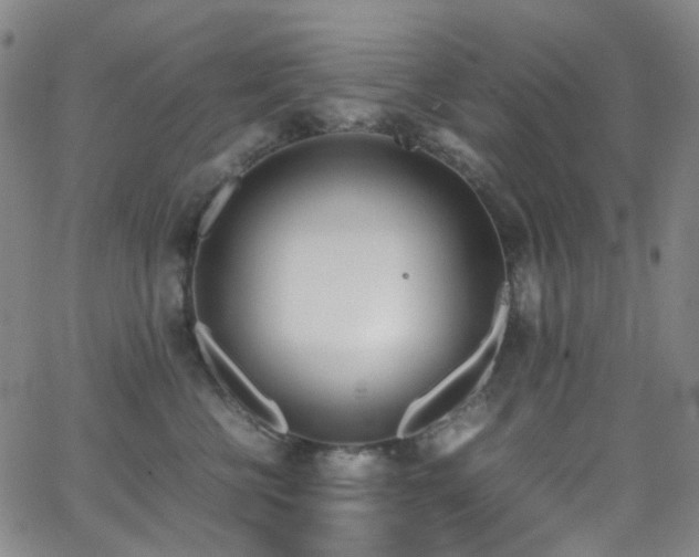 X0000062870570200601131444