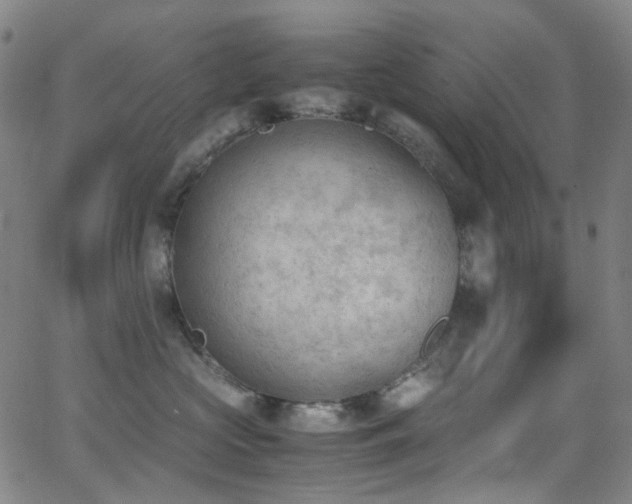 X0000062870573200601131444