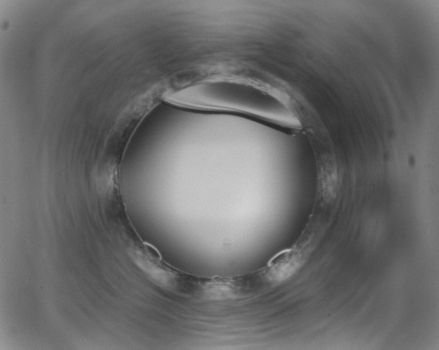 X0000062870574200601131444