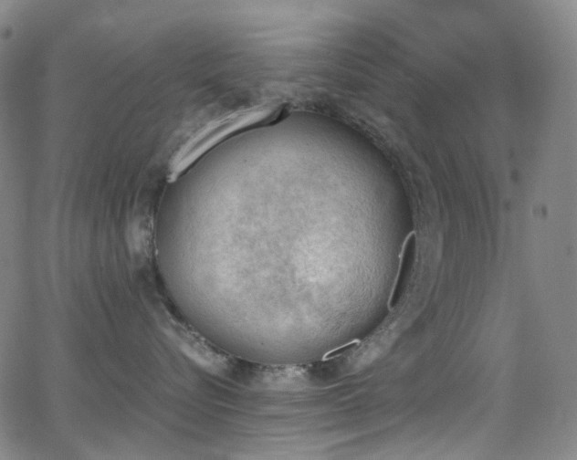 X0000062870576200601131444