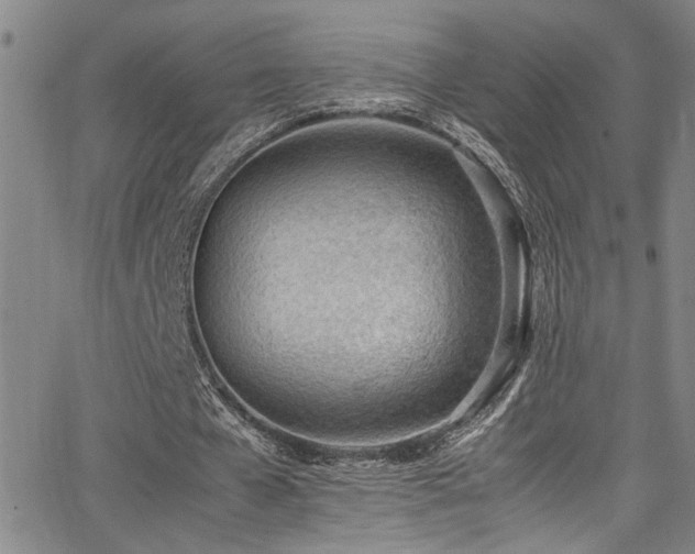 X0000062870577200601131444