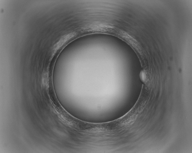 X0000062870578200601131443