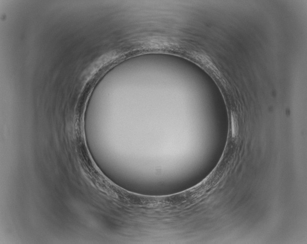 X0000062870579200601131443