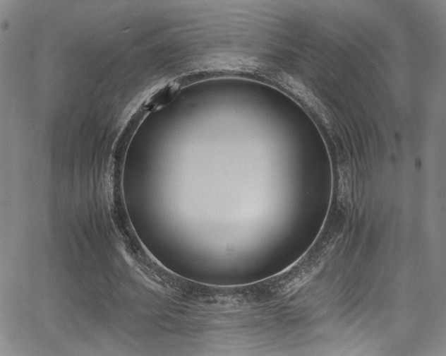 X0000062870580200601131443