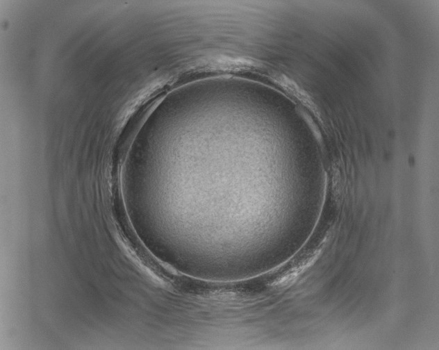 X0000062870581200601131443