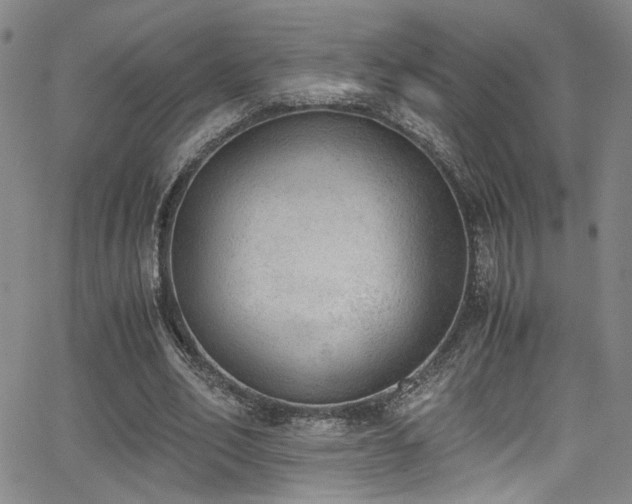 X0000062870582200601131443