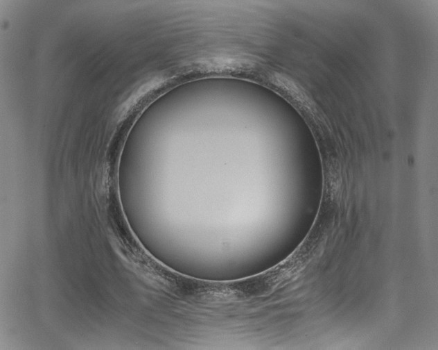 X0000062870583200601131443