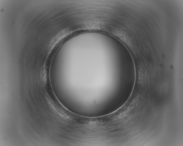 X0000062870584200601131443