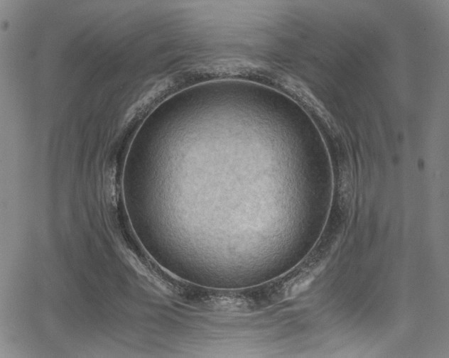 X0000062870585200601131443