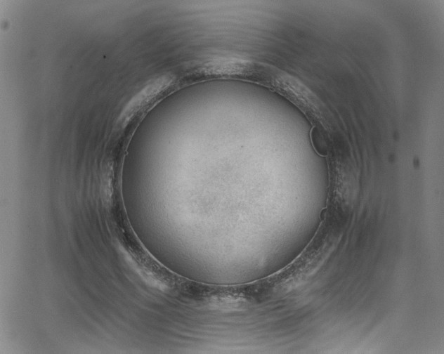 X0000062870586200601131443