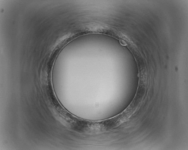 X0000062870587200601131443