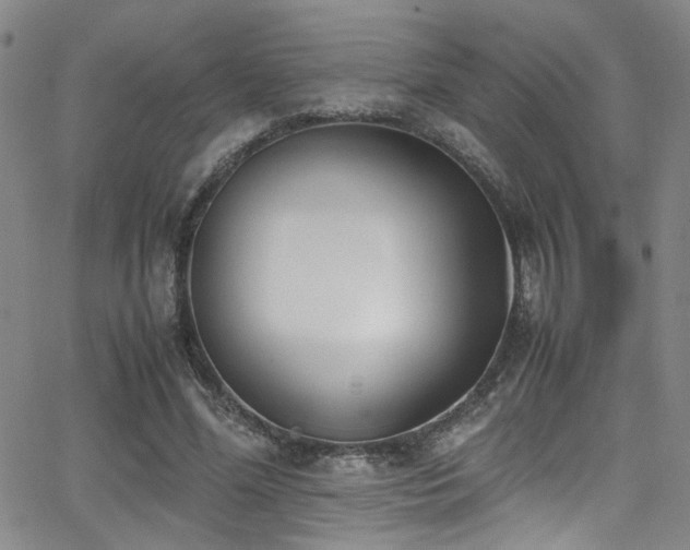 X0000062870588200601131443