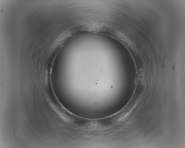 X0000062870589200601131443