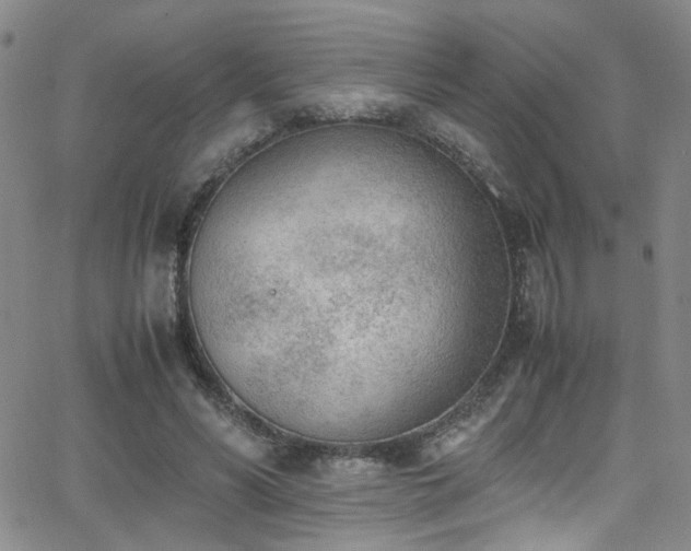 X0000062870590200601131443