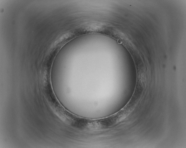 X0000062870591200601131443