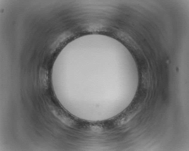 X0000062870592200601131443