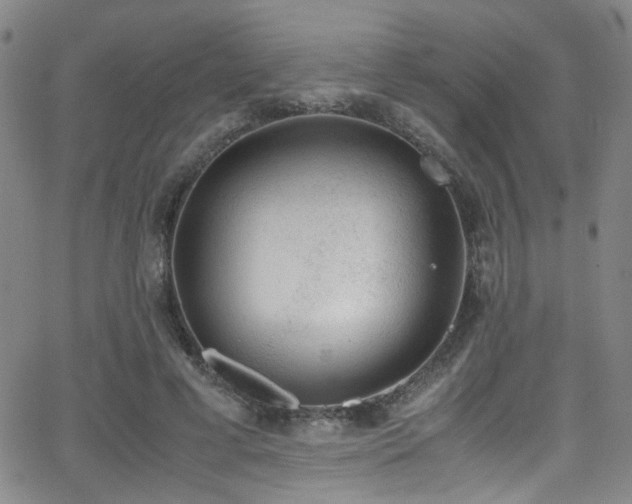 X0000062870593200601131443