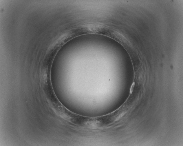 X0000062870595200601131443