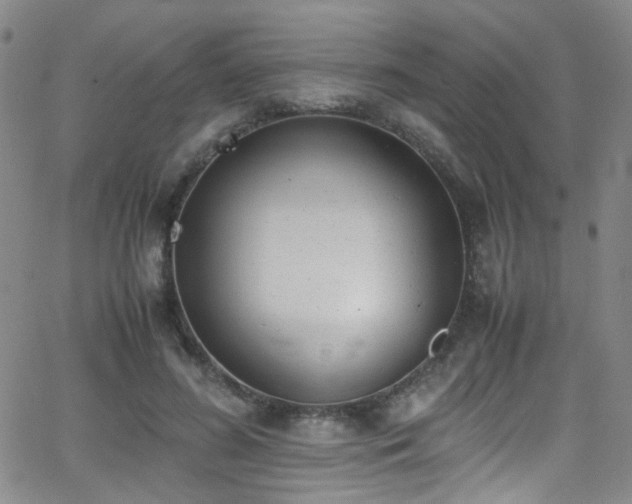 X0000062870596200601131443