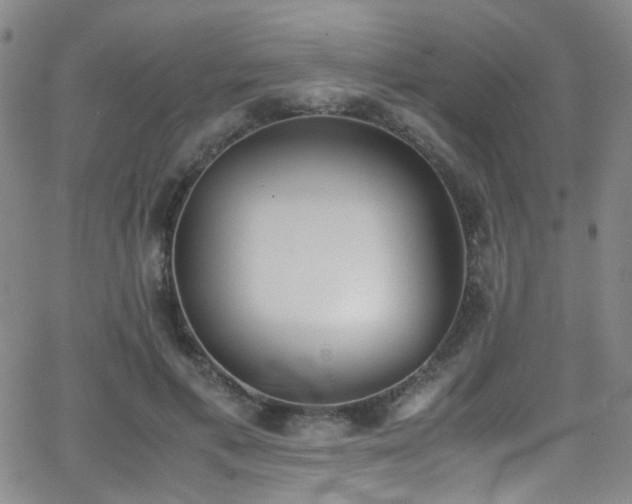 X0000062870597200601131443