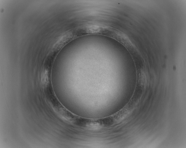 X0000062870598200601131443