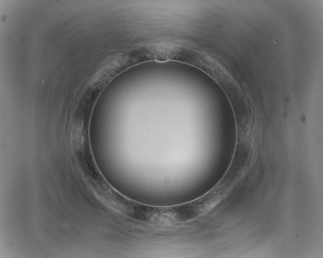 X0000062870599200601131443