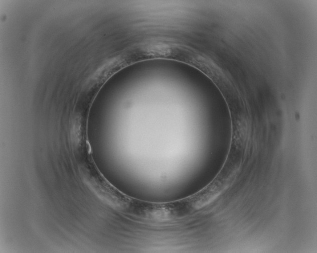 X0000062870600200601131443