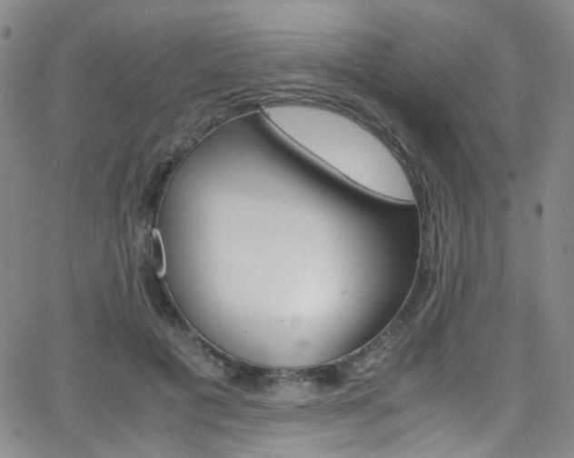 X0000062870601200601131443