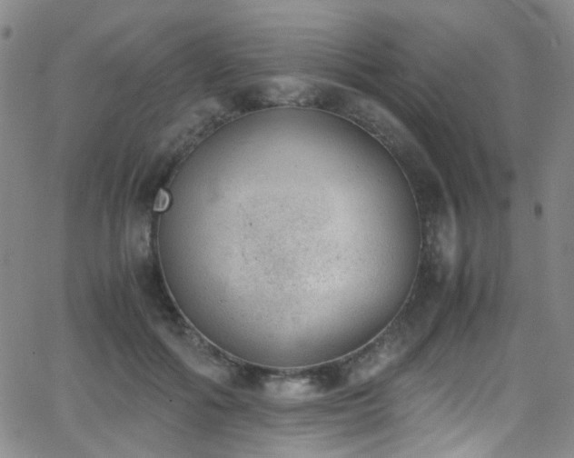 X0000062870602200601131443