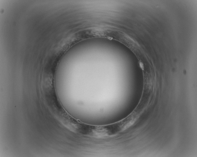 X0000062870603200601131443