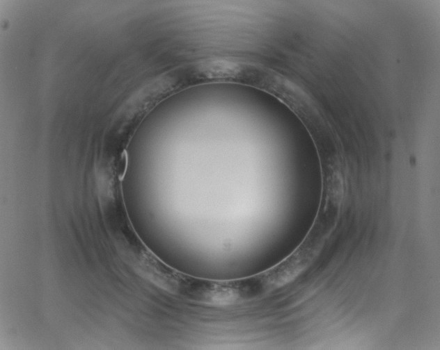 X0000062870604200601131443