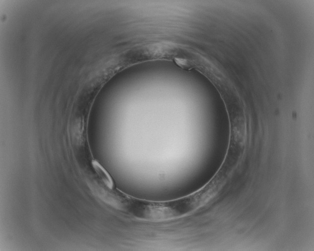 X0000062870605200601131443