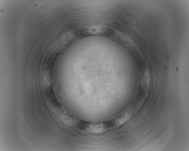 X0000062870606200601131443