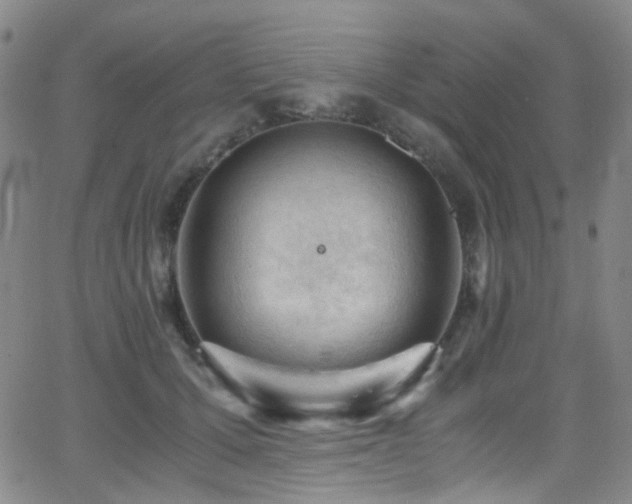 X0000062870607200601131443