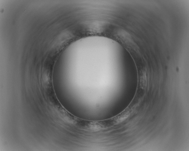 X0000062870608200601131443