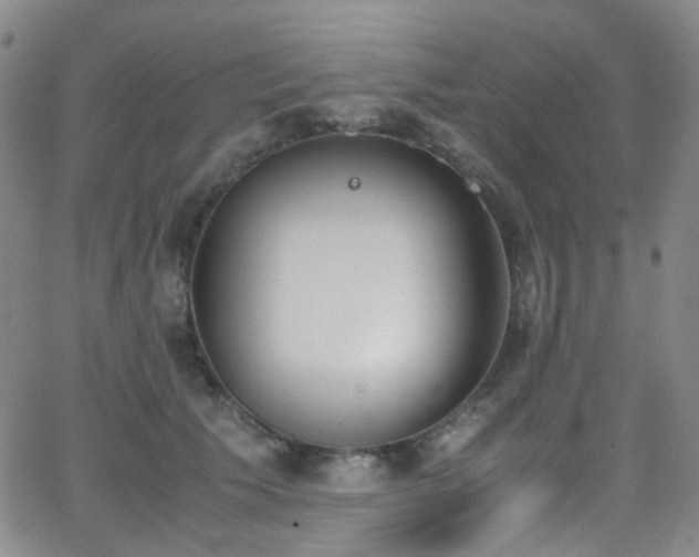 X0000062870609200601131443