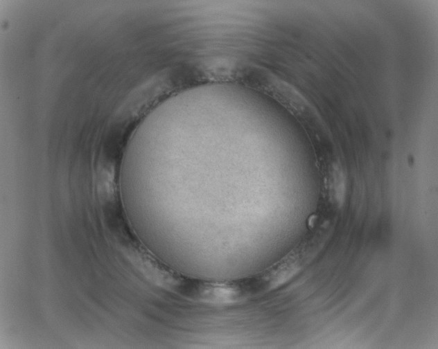 X0000062870610200601131443