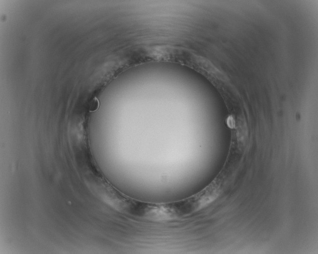 X0000062870611200601131443