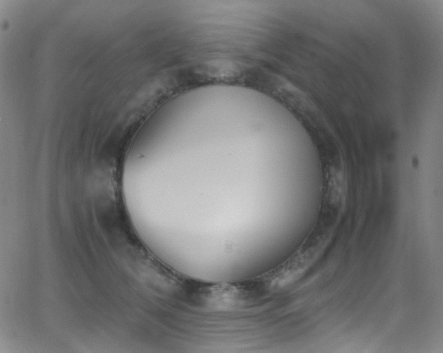 X0000062870612200601131443