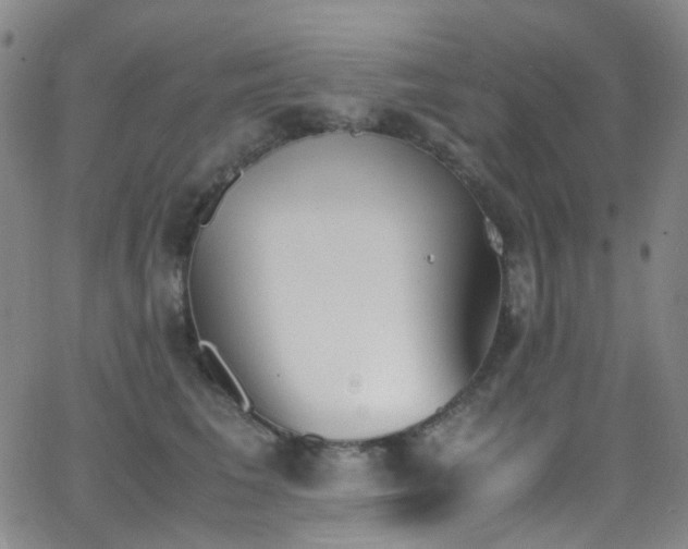 X0000062870613200601131443