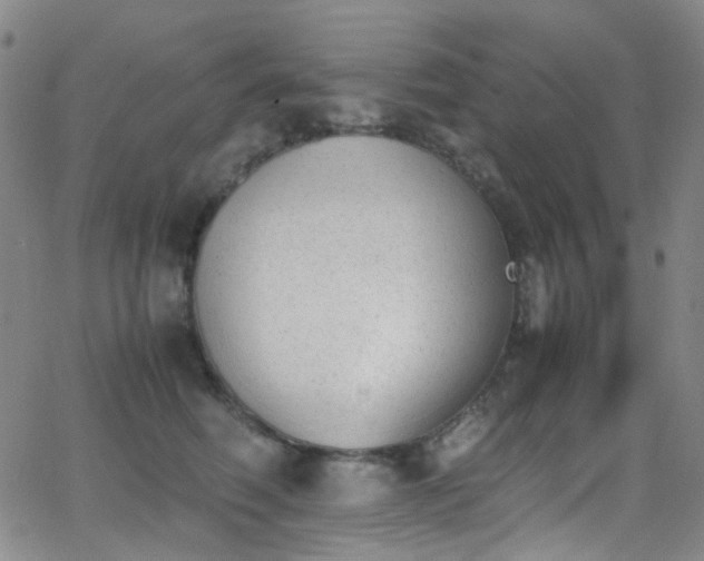 X0000062870614200601131443