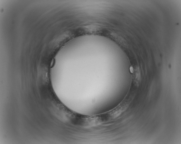 X0000062870615200601131443