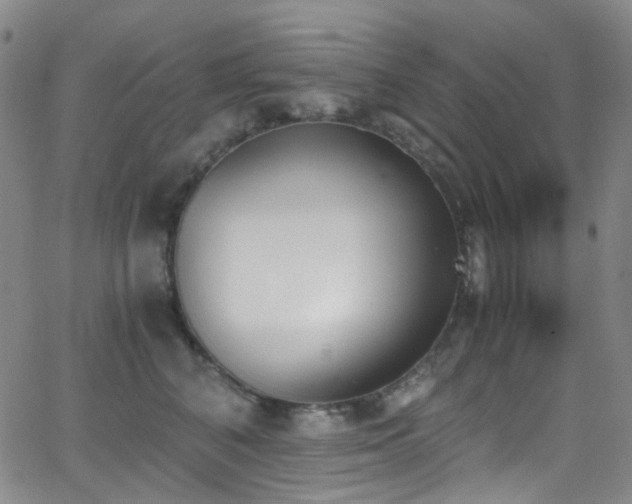 X0000062870616200601131443