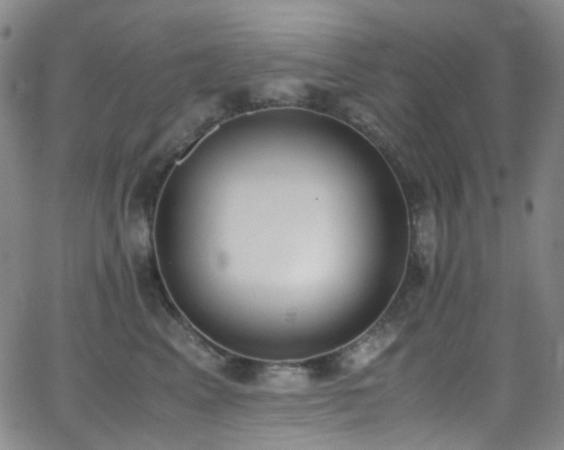 X0000062870617200601131443