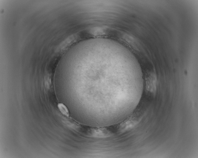 X0000062870618200601131443