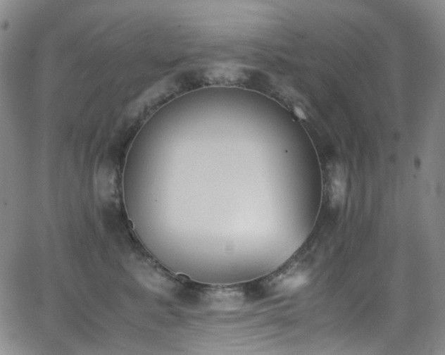 X0000062870619200601131443