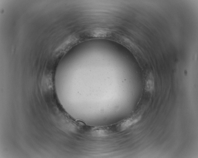 X0000062870620200601131443