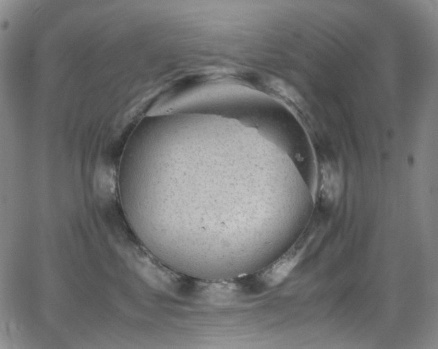 X0000062870621200601131443