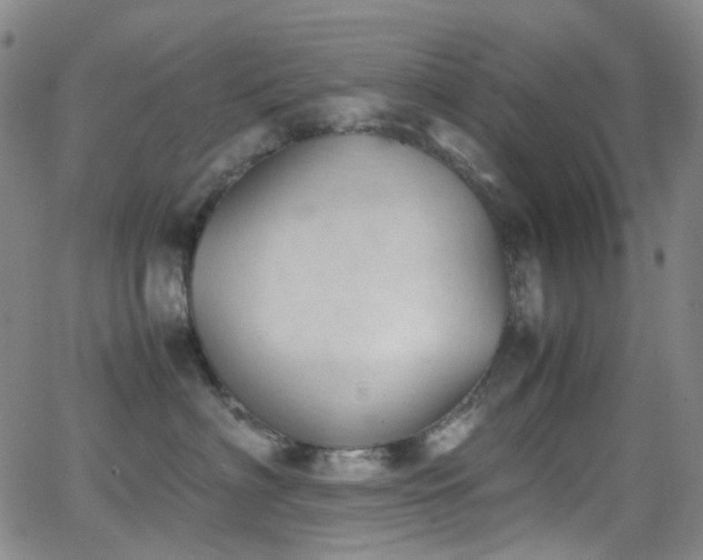 X0000062870622200601131443